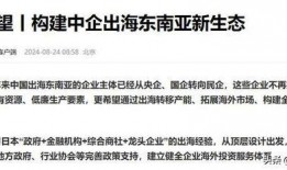 中国政府最新爆料,重大政策调整与未来发展动向”